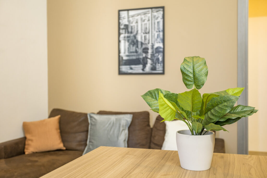 Apartment_11